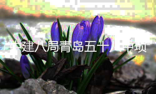 青岛全部中建主体八局八中五十项目封顶